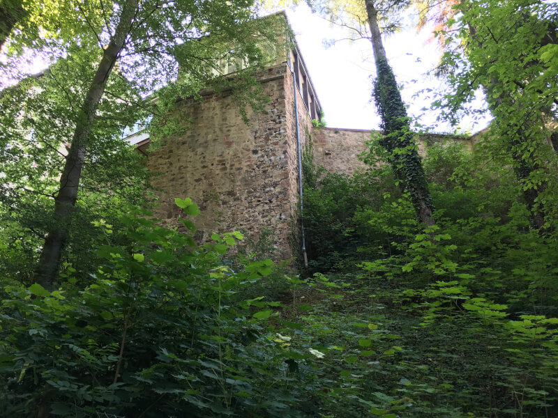 Rüstung Burg Gnandstein